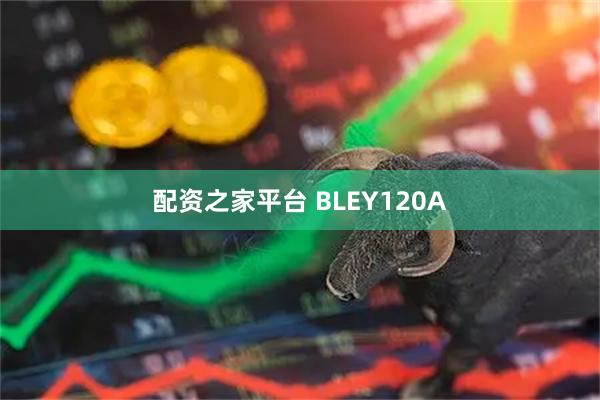 配资之家平台 BLEY120A