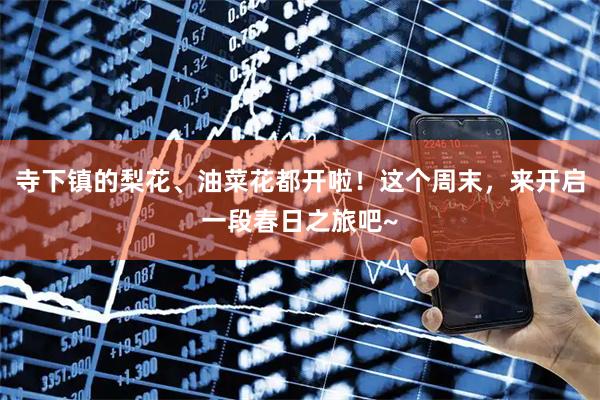 寺下镇的梨花、油菜花都开啦！这个周末，来开启一段春日之旅吧~