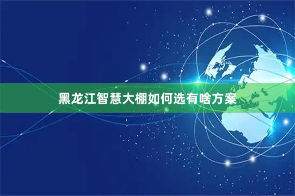 黑龙江智慧大棚如何选有啥方案
