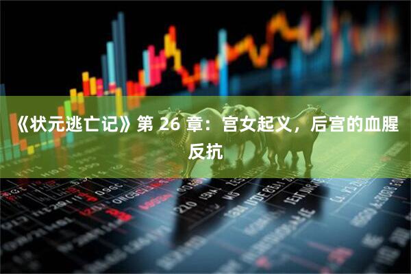 《状元逃亡记》第 26 章：宫女起义，后宫的血腥反抗