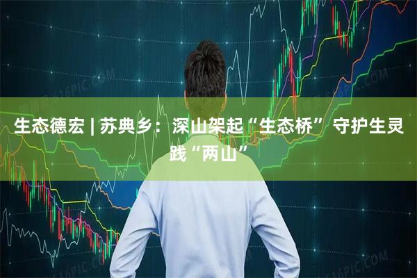 生态德宏 | 苏典乡：深山架起“生态桥” 守护生灵践“两山”