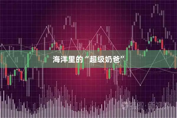 海洋里的“超级奶爸”