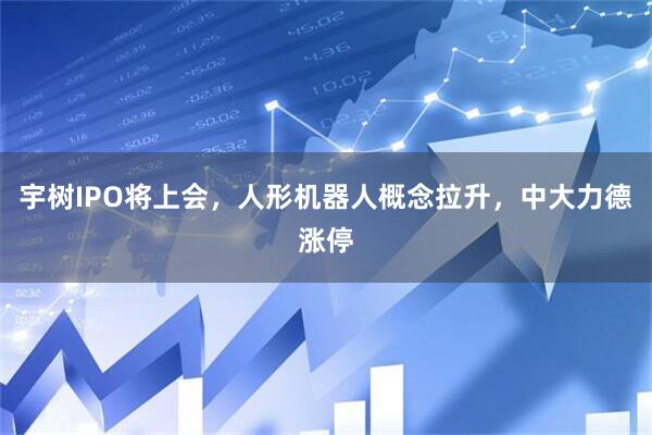 宇树IPO将上会，人形机器人概念拉升，中大力德涨停