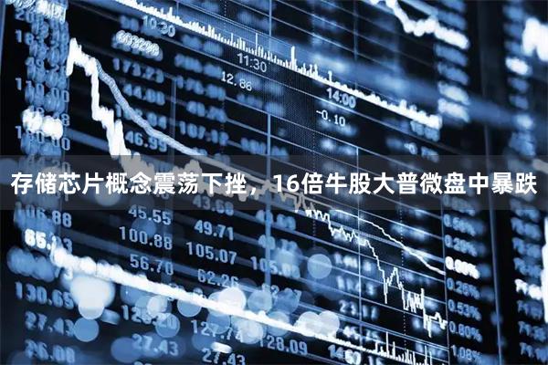存储芯片概念震荡下挫，16倍牛股大普微盘中暴跌