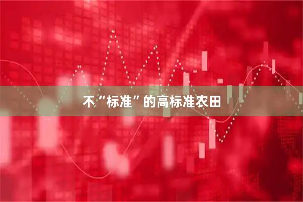 不“标准”的高标准农田